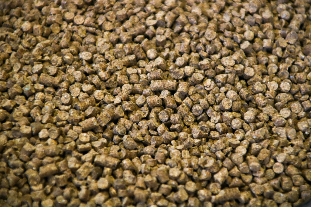 Tämän kuvan alt-attribuutti on tyhjä; Tiedoston nimi on IMG_5987-1024x683.jpg